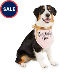 Cat birthday hat petco clearance