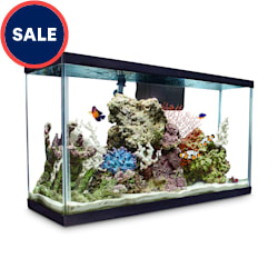 Aqueon Standard Glass Aquarium Tank 29 Gallon