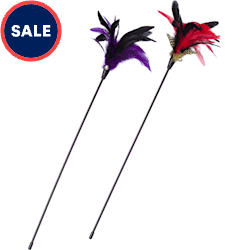 Leaps & Bounds Pheasant Feather Cat Teaser