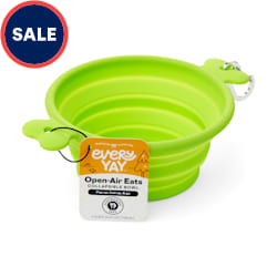 EveryYay Open-Air Eats Green Collapsible Bowl for Dogs