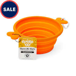 EveryYay Open-Air Eats Orange Collapsible Bowl for Dogs