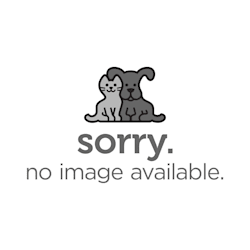 Wellness Complete Health Grain Free Gravies Turkey Dinner Wet Cat Food