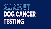 Dog Cancer: Spot Early Signs, Understand Testing & Treatment Options