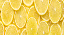 Can Dogs Eat Lemons? Why They're Toxic & Emergency Steps If Eaten