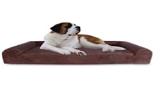 Dog Beds & Bedding: How to Choose the Right One