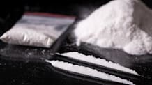 My Dog or Cat Ate Cocaine: Emergency Guide & Immediate Vet Help