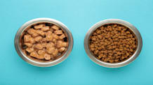 Wet vs. Dry Dog Food