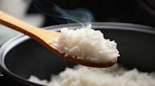 Can Dogs Eat Rice? What Pet Parents Should Know
