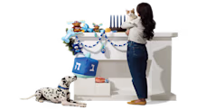 8 Essential Hanukkah Pet Safety Tips for a Happy & Bright Holiday