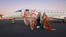Dog Air Travel: The Best Flight Experiences for Your Pup