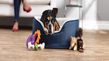 New Puppy Checklist: Your Ultimate Guide to Welcoming a New Dog