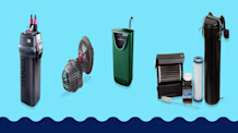 Aquarium Filtration: Pick the Best Filter for a Thriving Tank