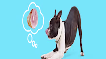 Can Dogs Eat Ham? The Dangers & Why It's Unsafe for Your Dog