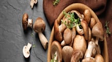 Can Dogs Eat Mushrooms? Safe vs. Toxic Varieties for Your Pet