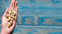 Can Dogs Eat Pistachios? Why They're Toxic & Harmful to Pets
