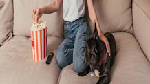 Can Dogs Eat Popcorn? Plain, Safe, Healthy Snack Tips & What to Avoid