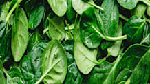 Is Spinach Safe for Dogs? Benefits, Risks & How to Feed