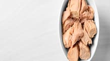 Is Tuna Safe for Dogs? Mercury Risks & What Every Owner Must Know