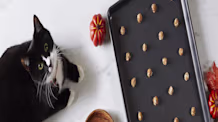 DIY Leftover Turkey Treats: Safe & Delicious Recipes for Dogs & Cats