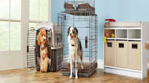 Easy Crate Training: Puppy & Dog Tips for a Calm, Happy Home