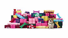 Top 10 Best Holiday Dog Gifts: Treats & Toys Your Pup Will Adore!