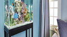Happy, Healthy Fish: How to Dechlorinate Aquarium Water Properly