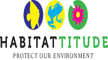 Don't Release Pets: Protect Waters from Invasive Fish & Plants