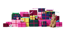 Best Holiday Cat Gifts: Treats & Toys Picky Felines Can't Resist