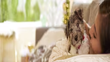 New Puppy's First Night: Essential Tips for a Happy & Smooth Welcome
