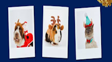 Perfect Pet Photos: Stress-Free Tips for Holiday & Everyday Joy