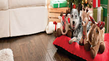 DIY Custom Dog Leash Hook: Personalize & Organize Your Pet's Gear!