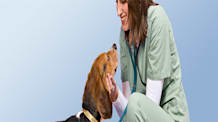 Dog Intestinal Parasites: Identify, Prevent & Treat Common Worms