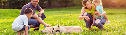 How to Safely Introduce Kids & Dogs: A Guide for Pet Parents