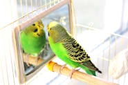 Petco Pet Education Center