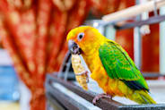 Petco Pet Education Center