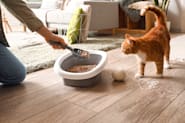 Petco Pet Education Center