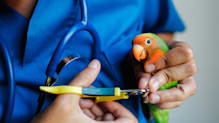 Petco Pet Education Center