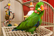 Petco Pet Education Center