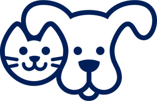 Author profile image