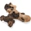 Zoo Med Mopani Driftwood