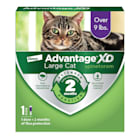 Advantage XD Elanco Cat Topical Flea Prevention & Treatment Over 9 lbs., Pack of 1