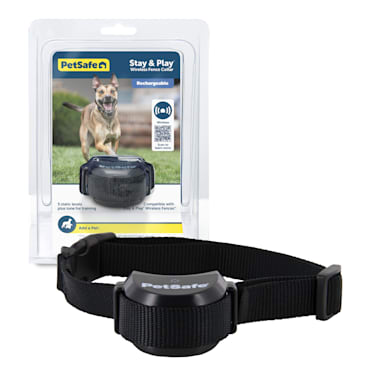 petsafe stay and play transmitter beeping