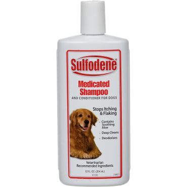 medicated dog shampoo