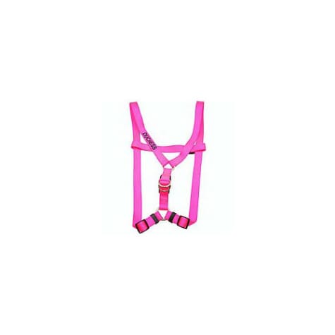 Coastal Pet Comfort Wrap Adjustable Dog Harness - Personalized