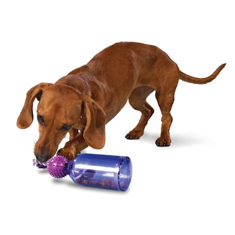 PetSafe Busy Buddy Tug-a-jug Dog Treat Dispensing Toy