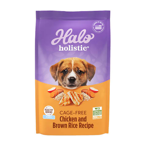 Halo Holistic Complete Digestive Health Chicken and Brown Rice Recipe Puppy Dry Food