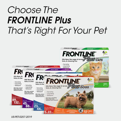 petco frontline plus for cats