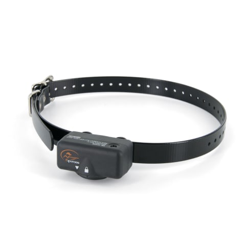 petco bark collar