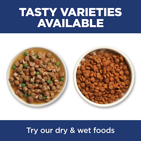 petco science diet kitten