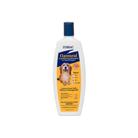 oatmeal flea shampoo for dogs